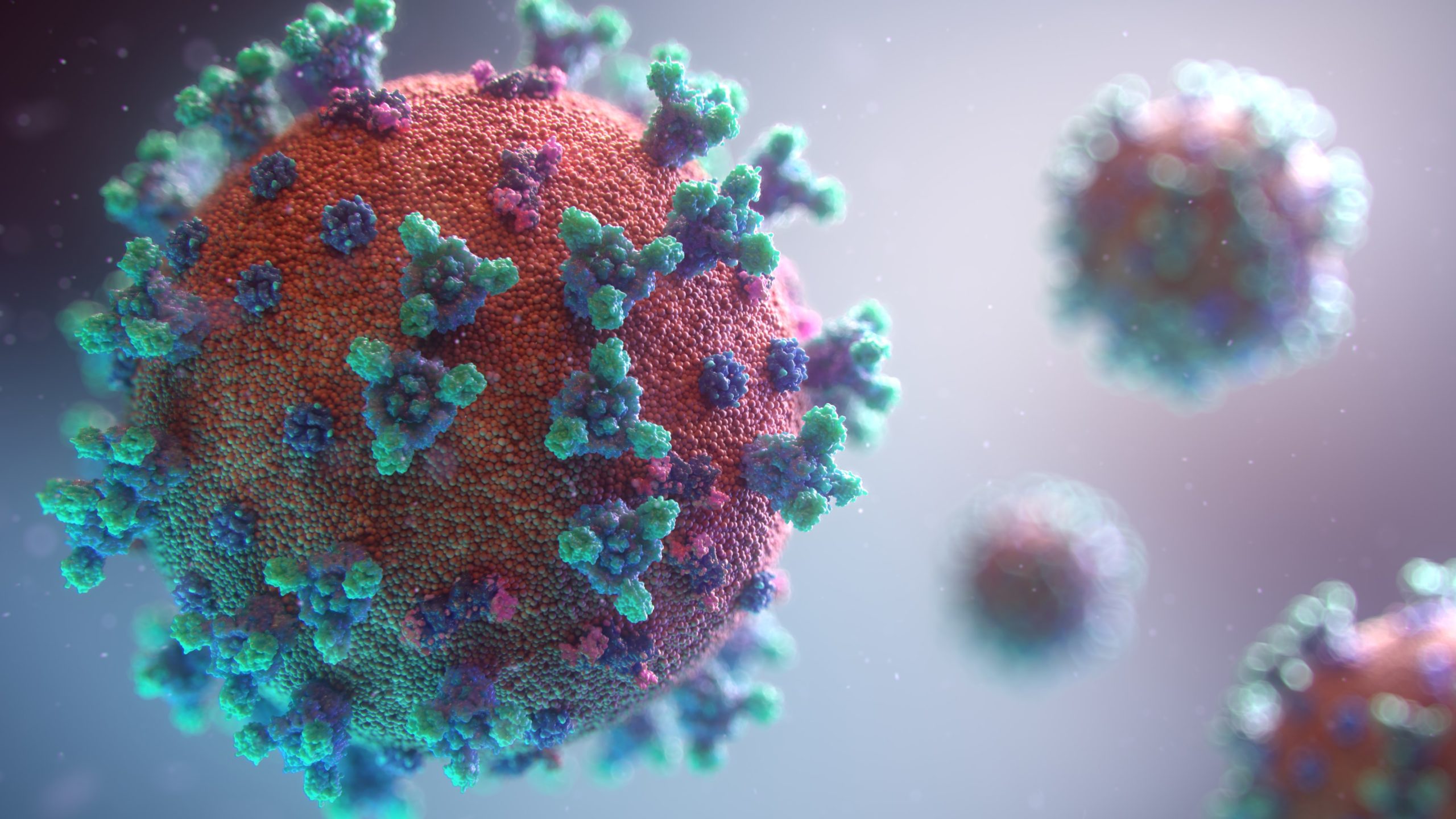 Read more about the article Coronavirus / COVID-19